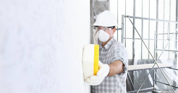 Mold Documentation for Insurance Claims